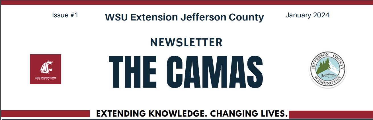 The CAMAS Newsletter header.